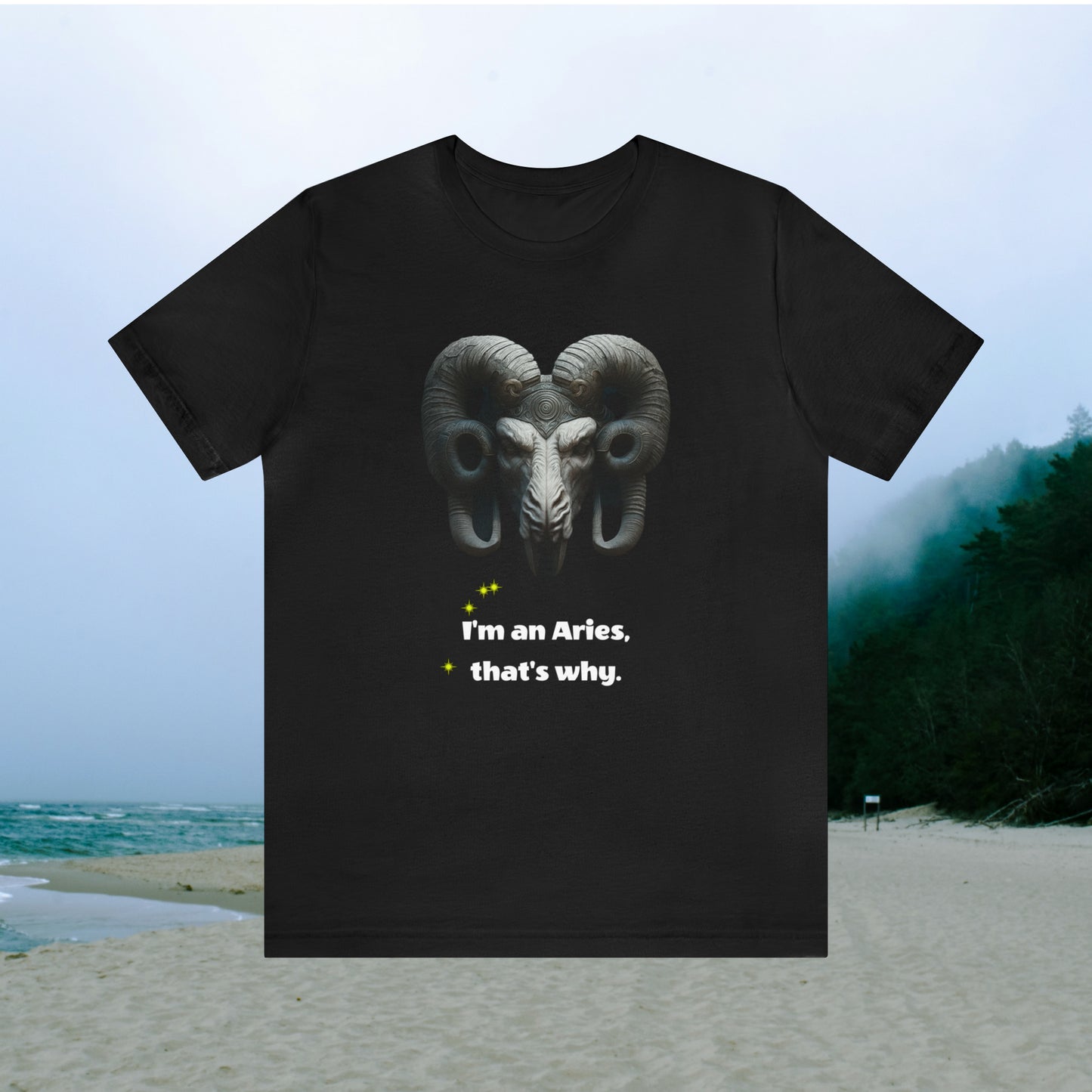 Black tee with graphic "I'm an Aries, that's why.",  beach background.