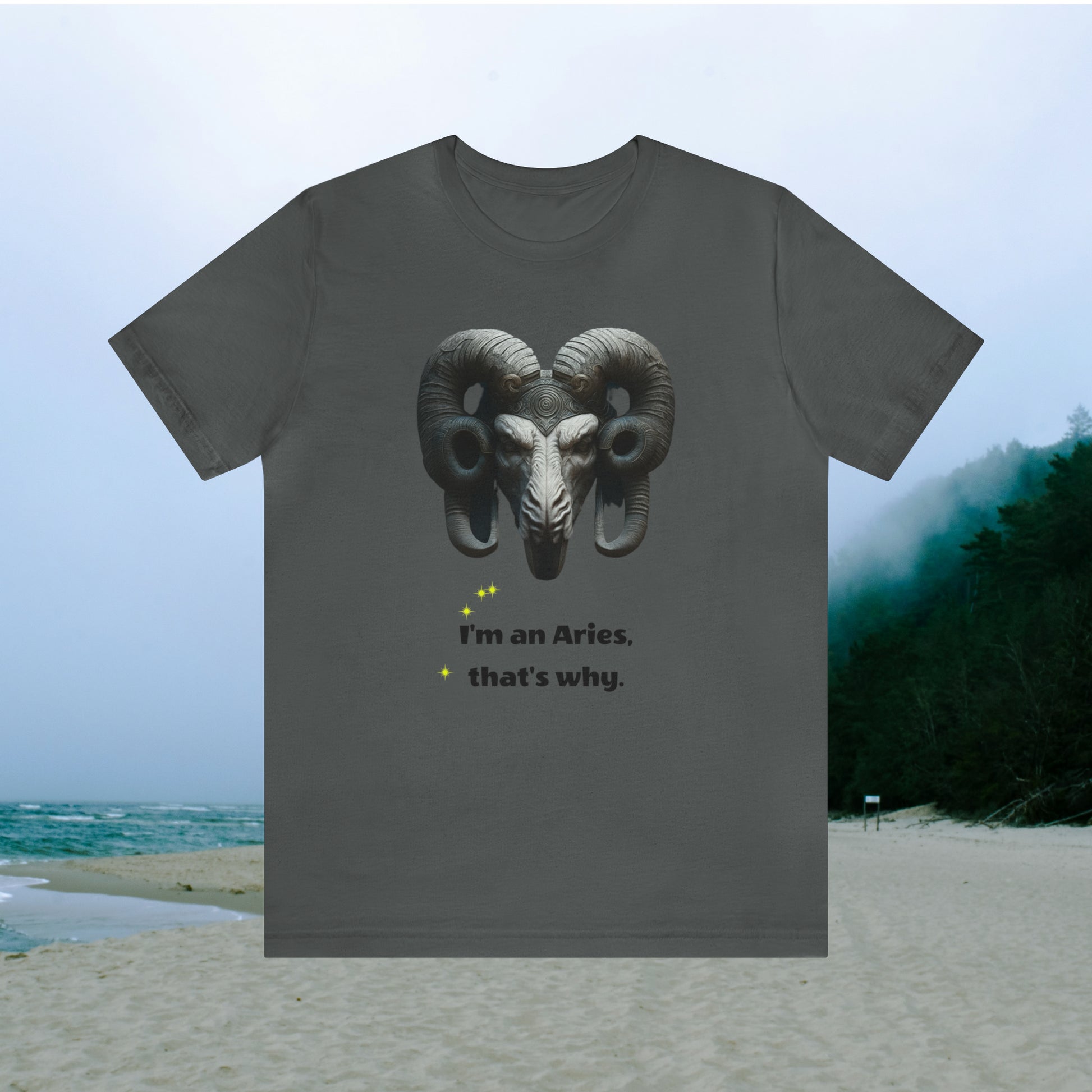 Grey tee with graphic "I'm an Aries, that's why.",  beach background.