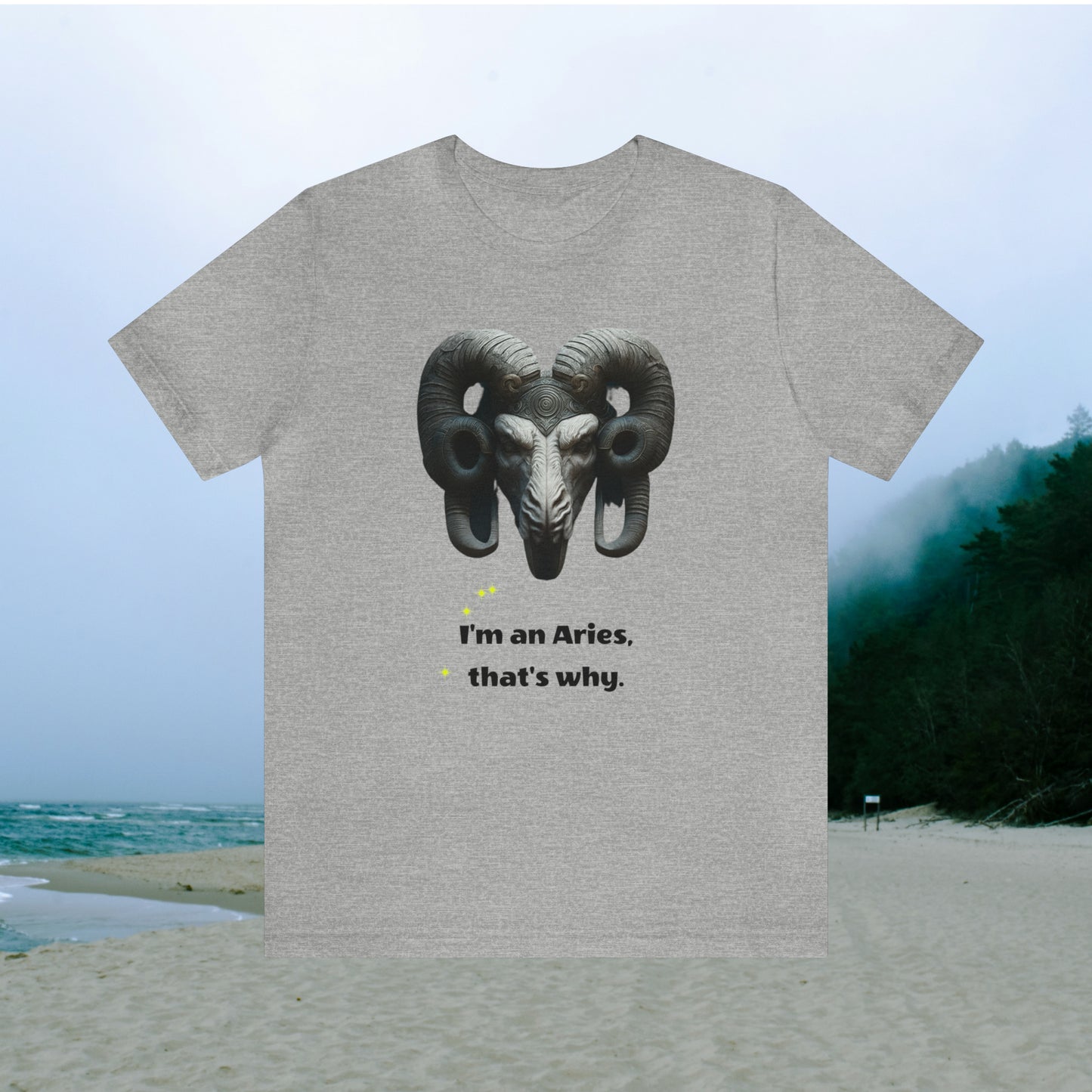 Light grey tee with graphic "I'm an Aries, that's why.",  beach background.