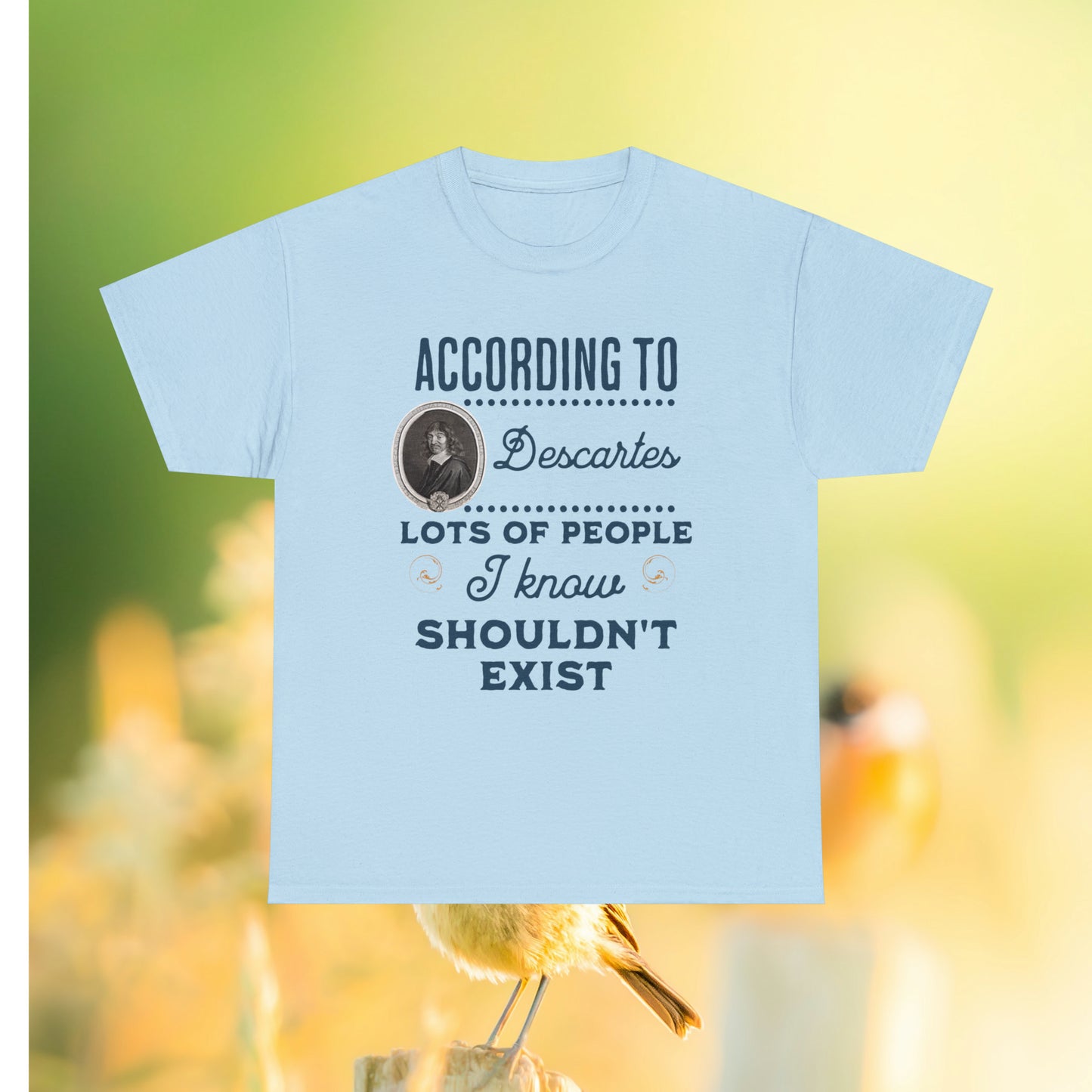 "According to Descartes" Tee in light blue